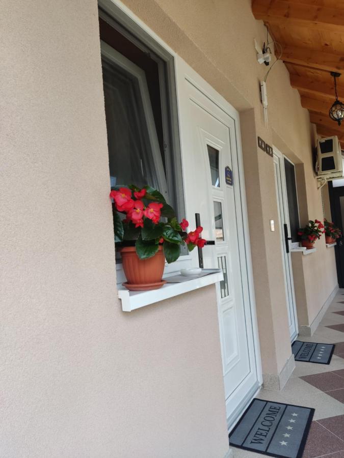 Apartmani Sladjana Novi Sad Exteriör bild
