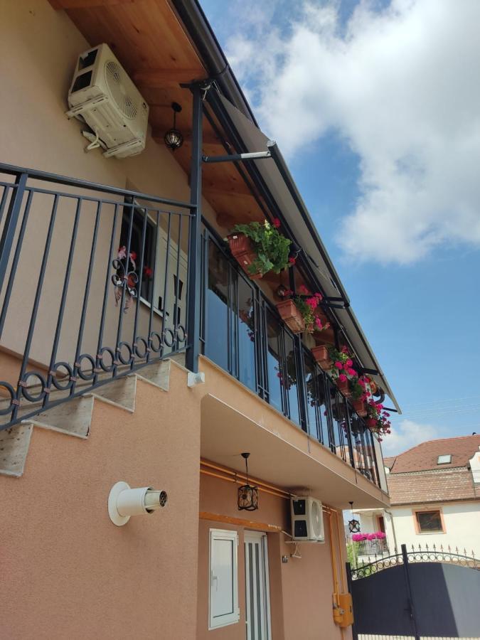 Apartmani Sladjana Novi Sad Exteriör bild