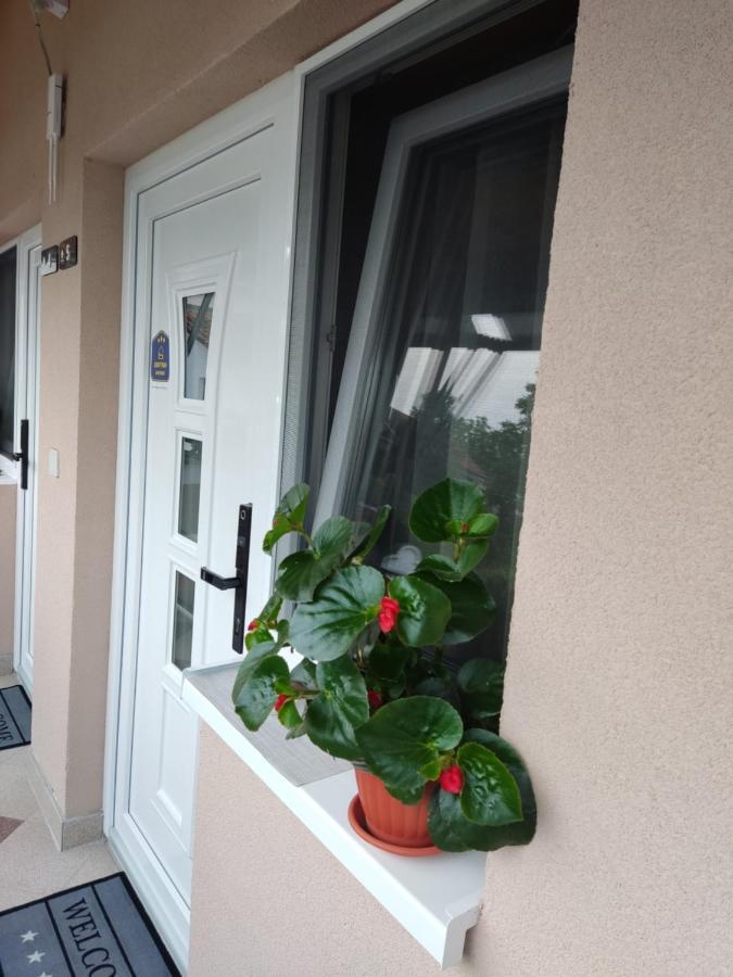 Apartmani Sladjana Novi Sad Exteriör bild